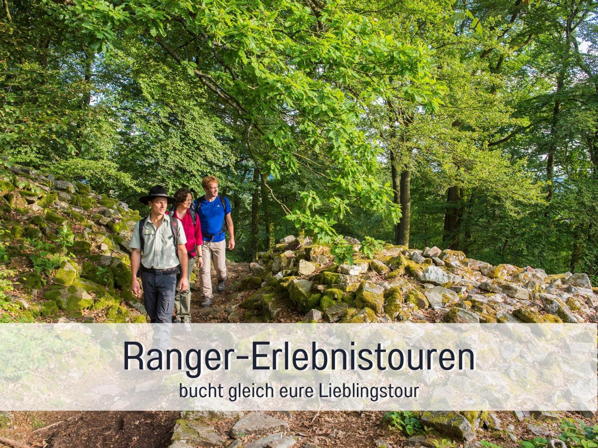4 Sterne Ferienhaus "Zum Weiher" Allenbach Luaran gambar